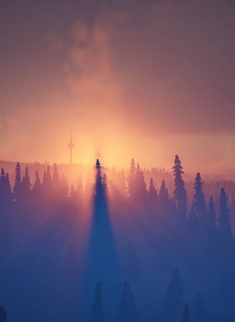 Forestbound mood lighting in the dense woods.