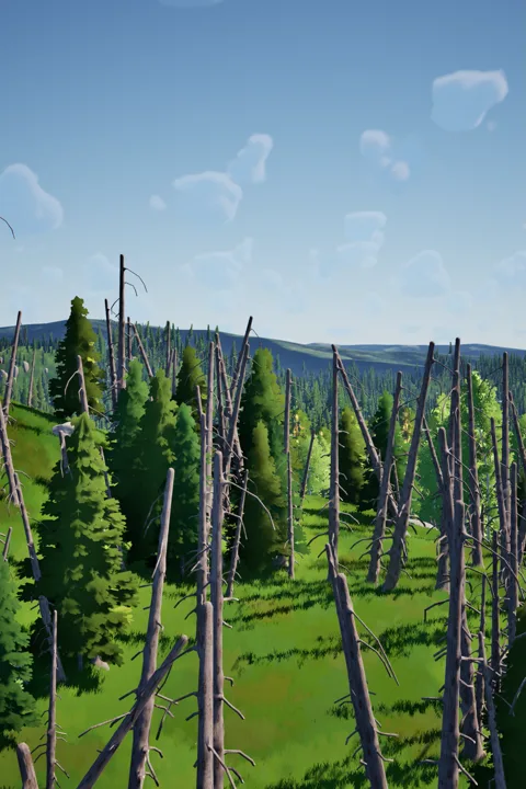 Silent grove with weathered trees.